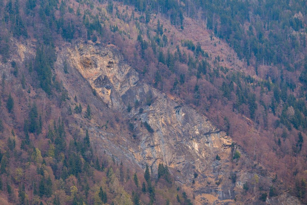 Chalet Waeschhuesli Near Interlaken, Grindelwald And Lauterbrunnen Gsteigwiler ภายนอก รูปภาพ